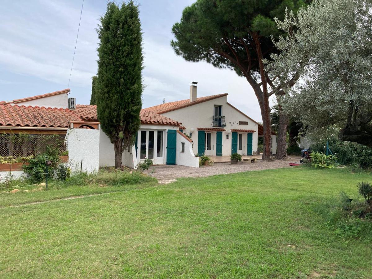 Mas De La Vieille Vigne Villa Argelès-sur-Mer Eksteriør bilde